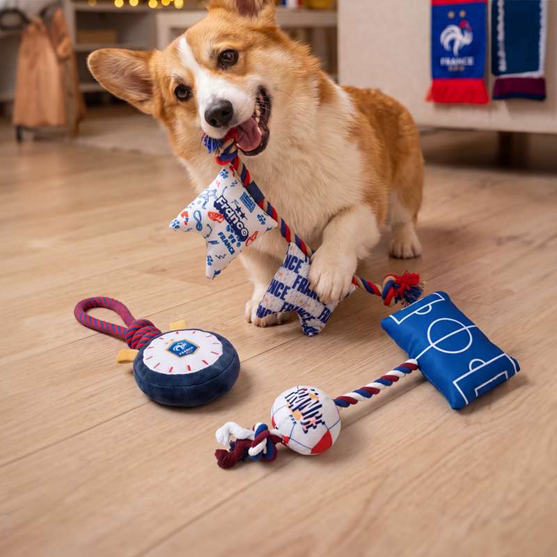 France FFF Pet Flag Cotton Rope Toy